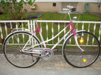 Gebrauchtes Fahrrad Berlin – Stadtrad